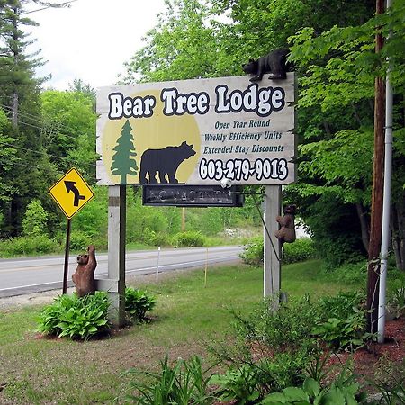 Bear Tree Lodge Вейрз-Біч Екстер'єр фото