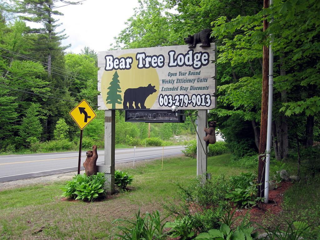 Bear Tree Lodge Вейрз-Біч Екстер'єр фото